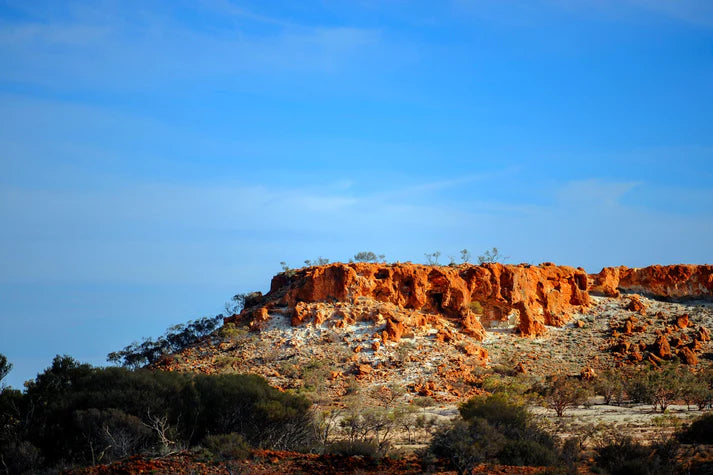ACTIVE AUSTRALIAN DESERT MALLEE HONEY TA20