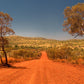 ACTIVE AUSTRALIAN DESERT MALLEE HONEY TA20