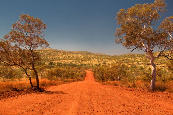 ACTIVE AUSTRALIAN DESERT MALLEE HONEY TA20